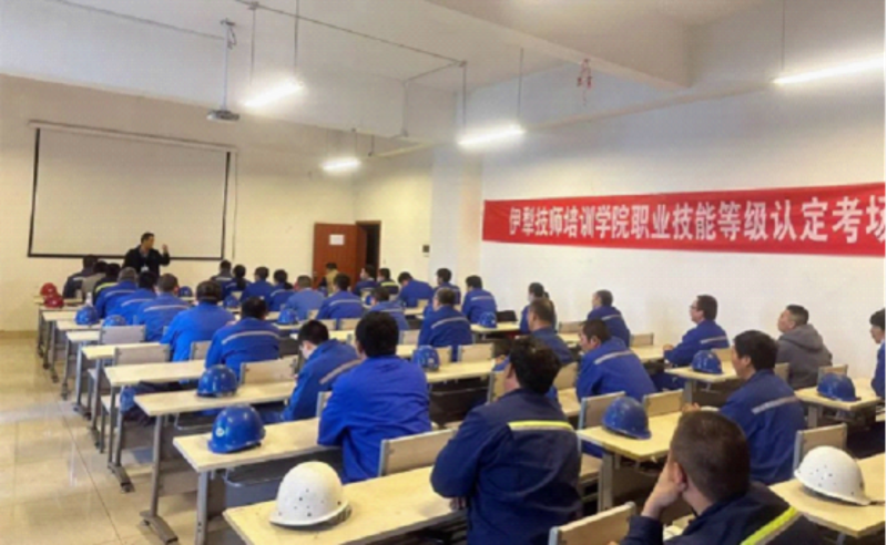 技能提升网:开启你的职业新篇章